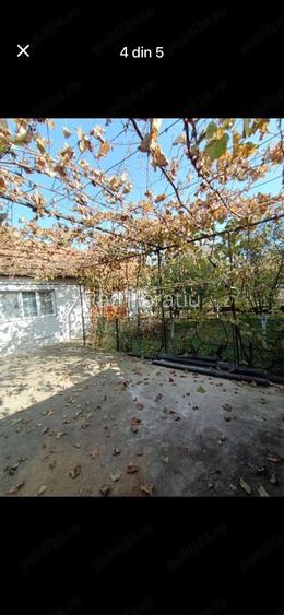 Casă cu Teren 270 Mp în Central