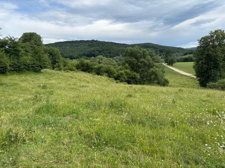 Teren de 4500 mp, în Deleni