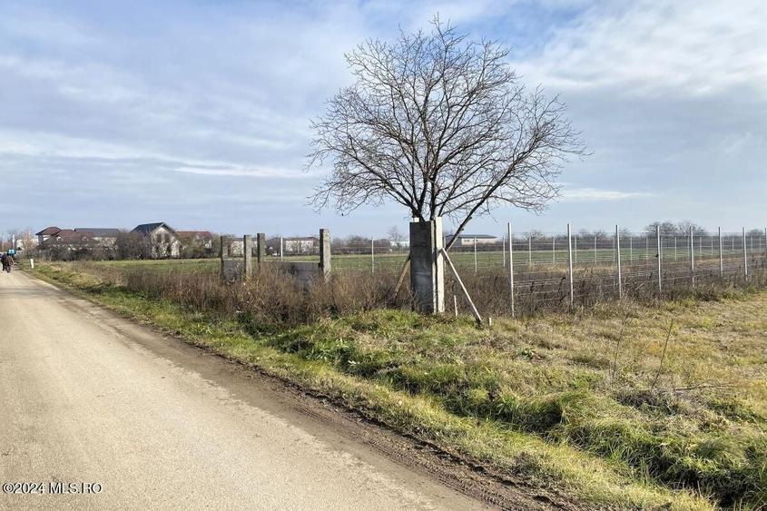Teren Construcții intravilan de 2409 mp, în Afumați