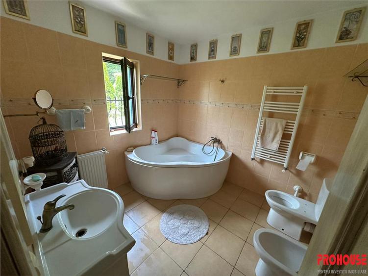 Casa deosebita in sat Podis - zona Dubas - 14