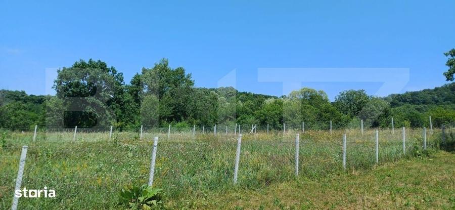 Teren extravilan de 1000 mp, situat pe strada Ghinzii - 3