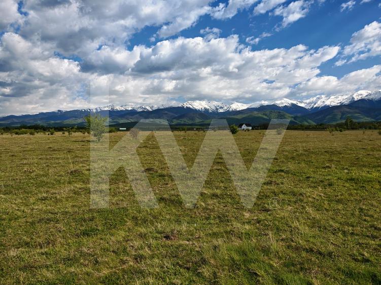 Teren agricol intravilan de 21573.5 mp, în Avrig