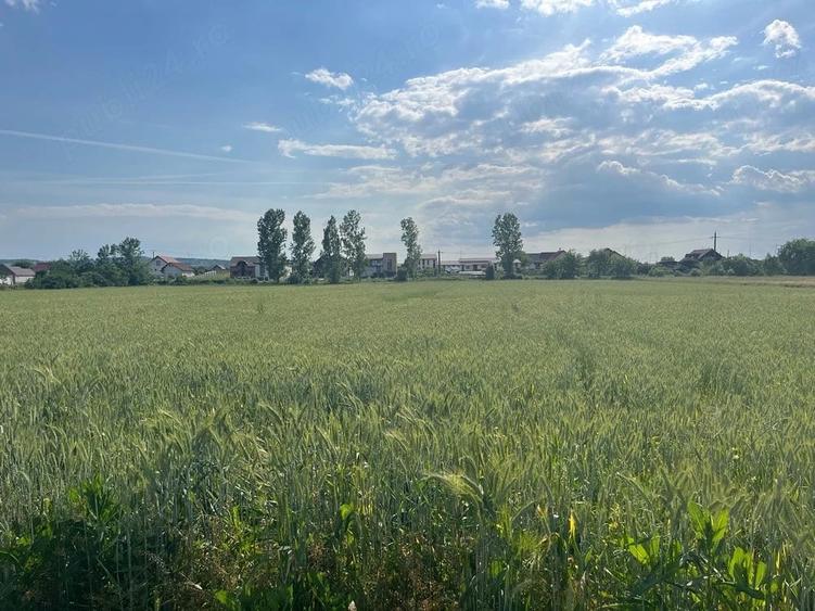Teren de 1450 mp, în Pianu