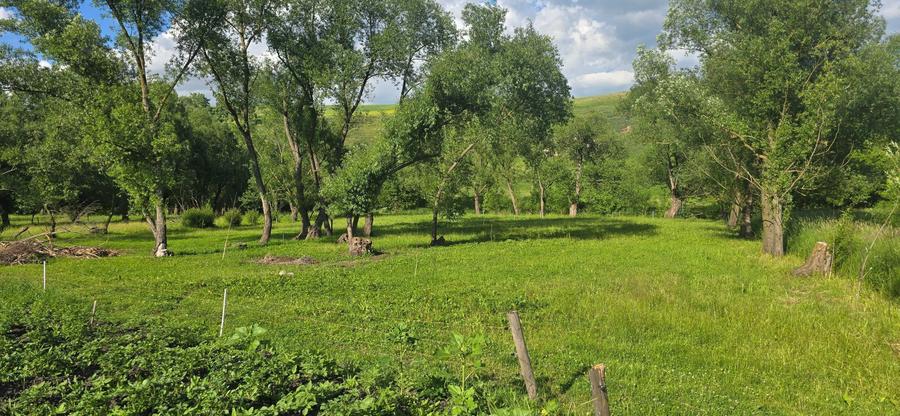 Casă cu 4 camere cu Teren 93 Mp în Zaharești