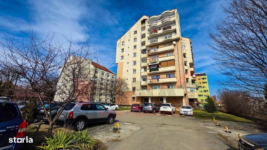 Apartament cu 3 camere în Paltin