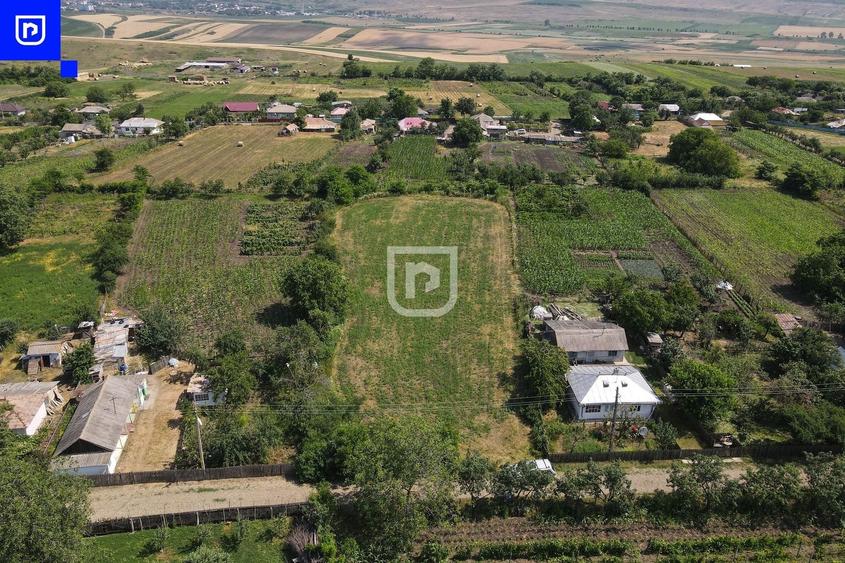 Teren Construcții intravilan de 3285 mp, în Ionășeni (Trușești)