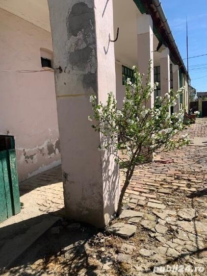 Casă individuală cu 3 camere cu Teren 3500 Mp în Cenei