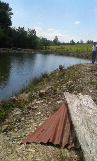Teren de 80000 mp, în Susani