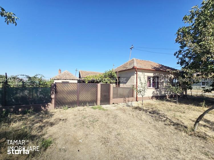 Casă cu 3 camere cu Teren 1440 Mp în Șagu
