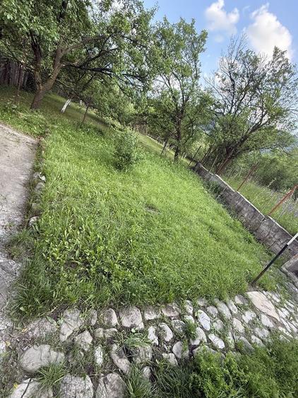 Casă cu 4 camere cu Teren 430 Mp în Valea Doftanei