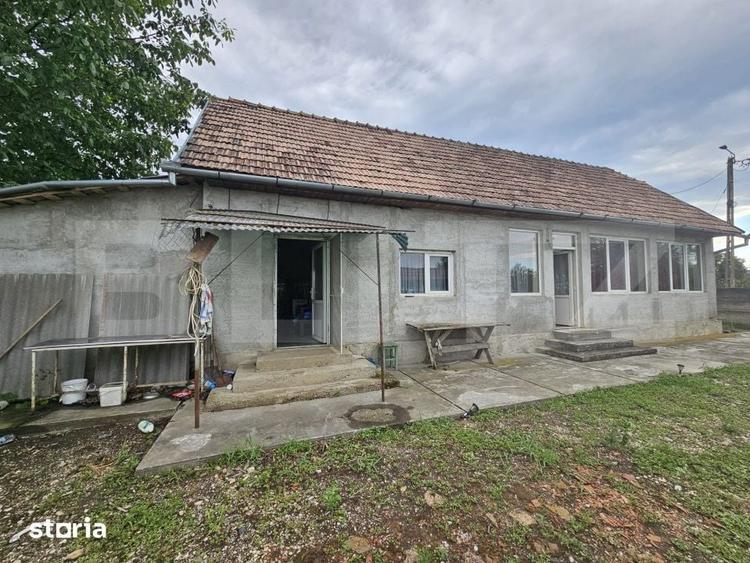Casă cu 3 camere cu Teren 2698 Mp în Cistei
