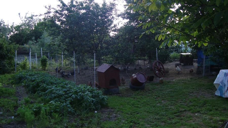 Casă cu 3 camere cu Teren 2287 Mp în Slobozia