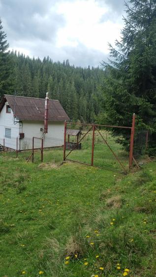Teren de 43000 mp, în Fildu de Mijloc