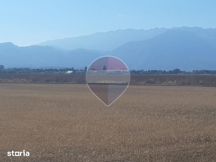 Teren de 7150 mp, în Sud