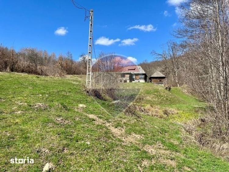 Teren de 7495 mp, în Bârsana