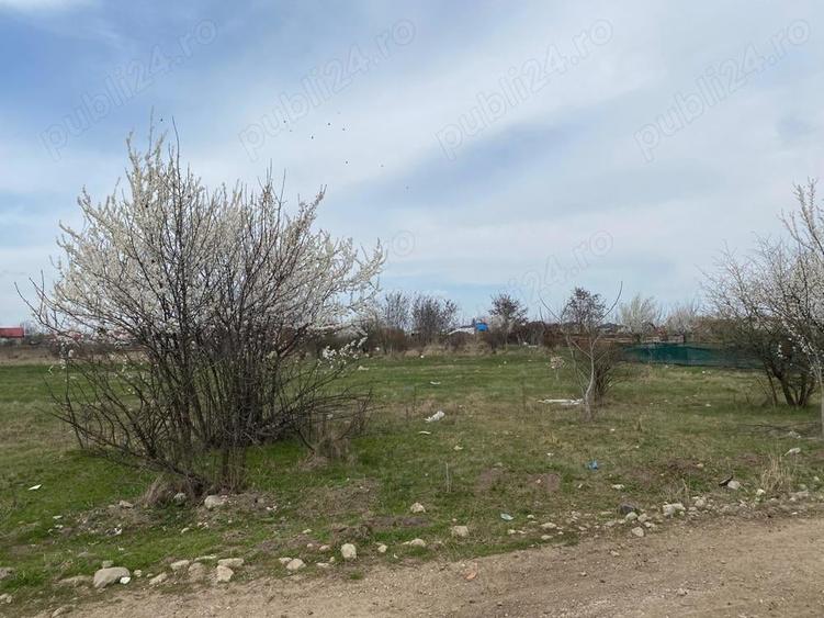 Teren de 937 mp, în Tamași