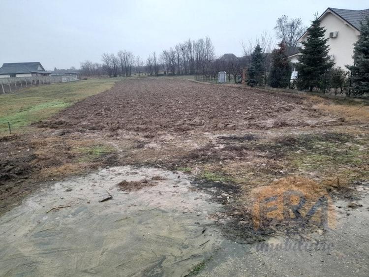Teren agricol intravilan de 1198 mp, în Tărian