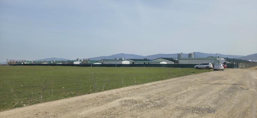 Spațiu industrial, de 2,100 mp, în Tărlungeni