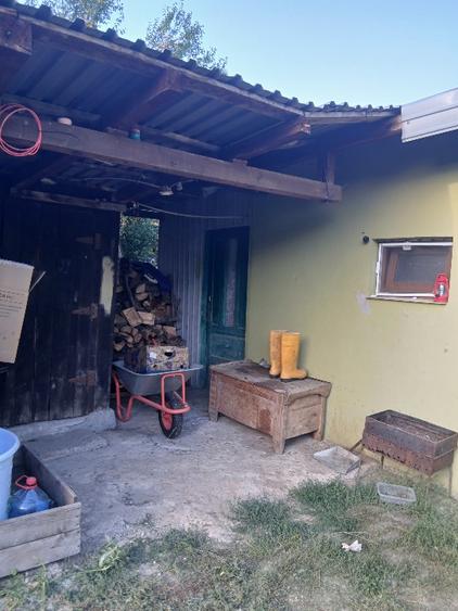 Casă individuală cu 3 camere cu Teren 4501 Mp în Livezi