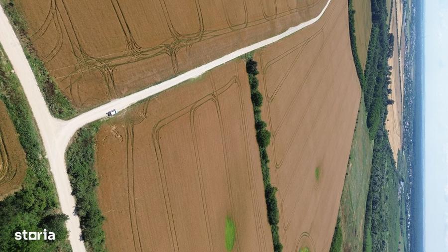 Ciolpani-Ilfov, Teren intravilan-20 ha - 8