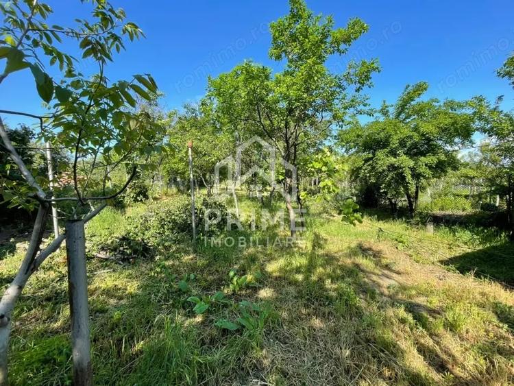 Casă cu Teren 886 Mp în Central