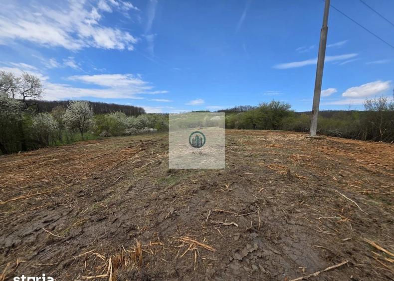 Teren agricol extravilan de 6704 mp, în Hărău