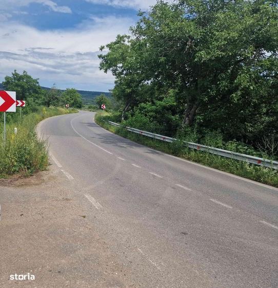 Teren de 5981 mp, în Bârsău