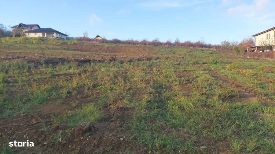 Teren de 725 mp, în Bârnova