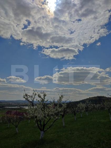 Teren agricol intravilan de 3300 mp, în Năsăud