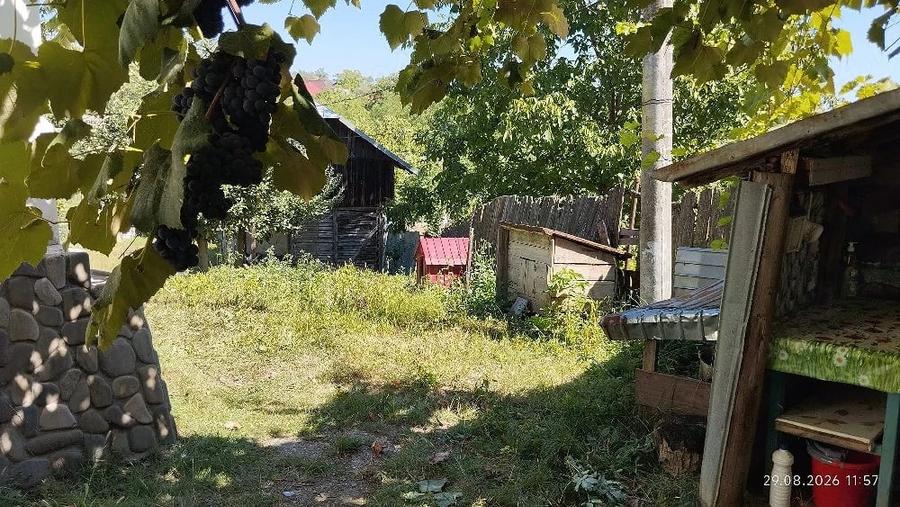 Casă cu Teren 1900 Mp în Sascut