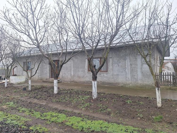 Casă cu Teren 3500 Mp în Central