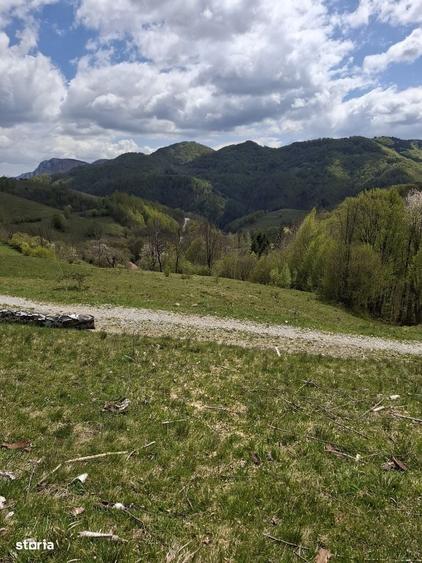Spațiu comercial, în Măcărești
