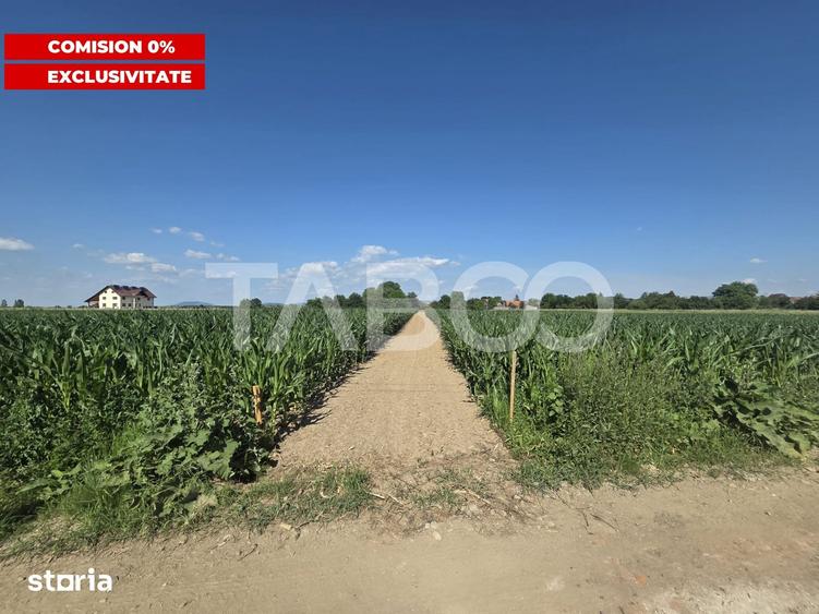Teren de 3150 mp, în Șercaia