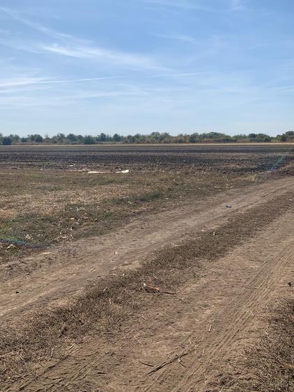 Teren Construcții extravilan de 15000 mp, în Petrăchioaia