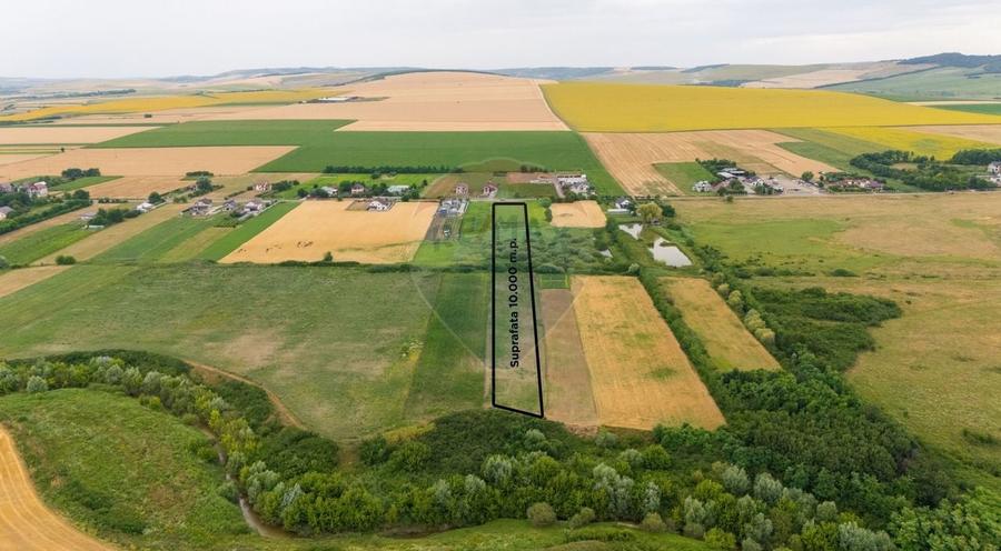 Teren agricol intravilan de 10000 mp, în Todirești
