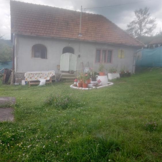 Casă individuală cu 2 camere cu Teren 1450 Mp în Baia de Criș