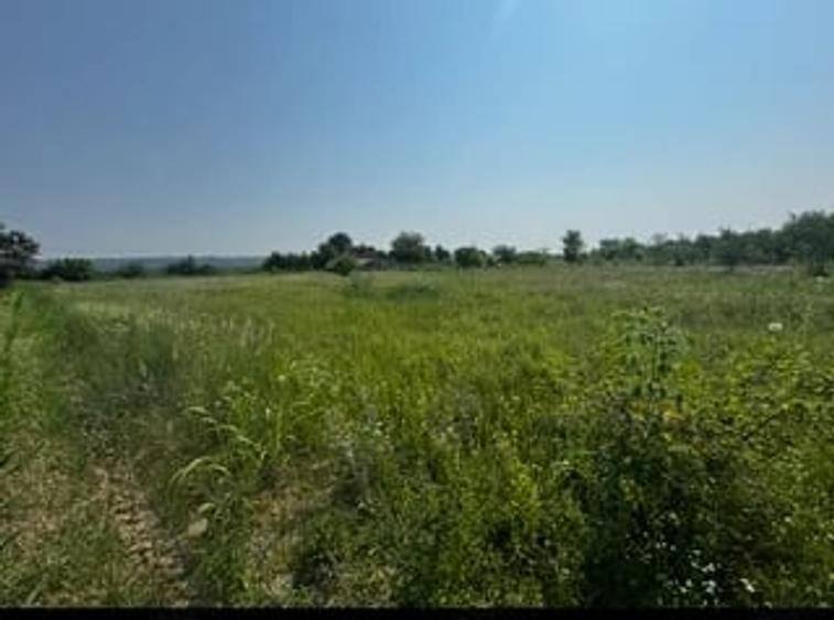 Teren de 4060 mp, în Gârleni