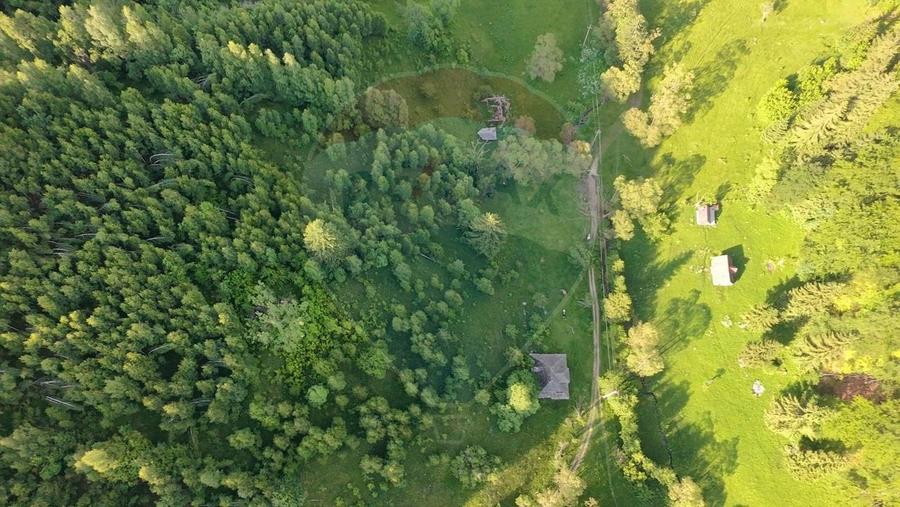 Teren agricol extravilan de 38704 mp, în Șirnea