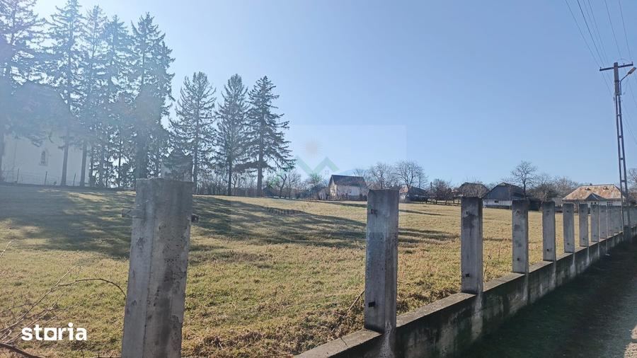 Teren de 4700 mp, în Brusturi