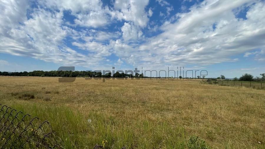 Teren Construcții intravilan de 10000 mp, în Tileagd