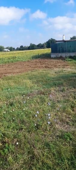 Teren Construcții intravilan de 500 mp, în Tărtășești