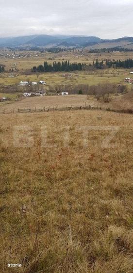 Teren ?aru Dornei 5 hectare, extravilan - 4