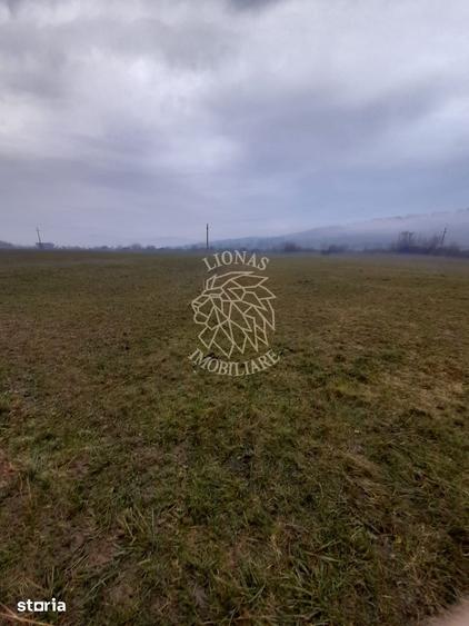 Teren 1698 mp-ideal investitie-Dumitrita, 15 km de Bistrita - 3