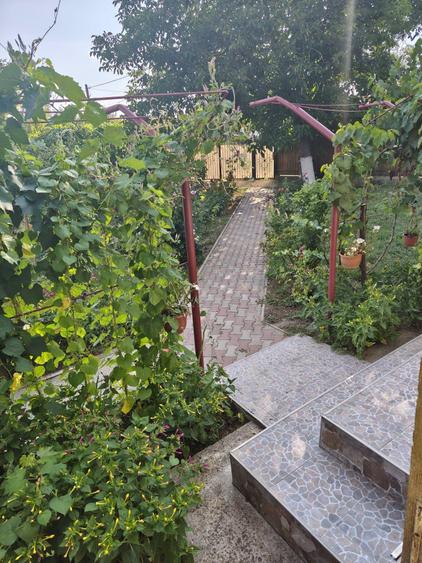 Casă individuală cu 3 camere cu Teren 1349 Mp în Sălcioara