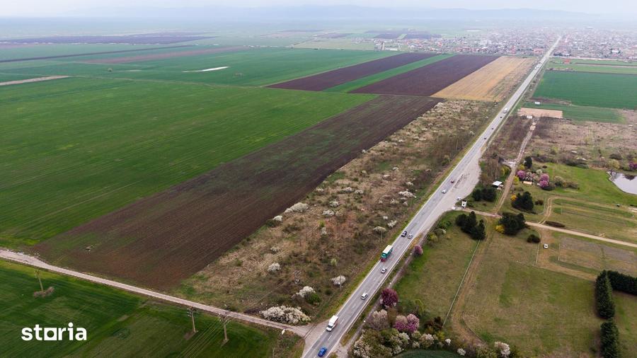 Teren de 41800 mp, în Vladimirescu