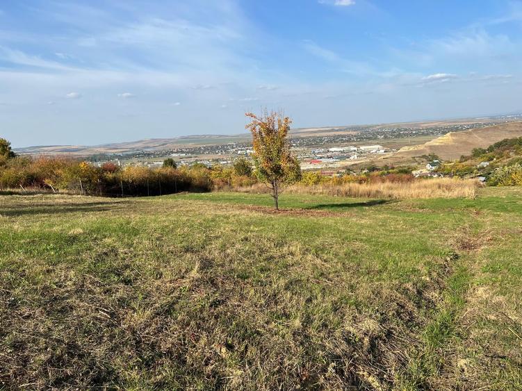 Teren de 1240 mp, în Vlădiceni