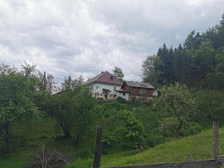 Casă cu 3 camere în Vidra