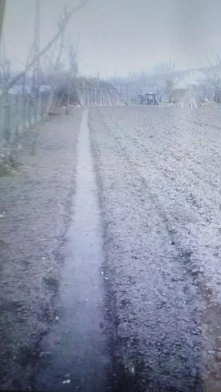 Teren în Central