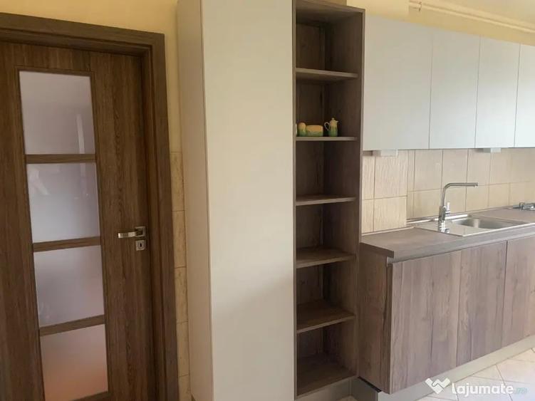 Apartament 2 camere -zona USAMV si Platinia - 10