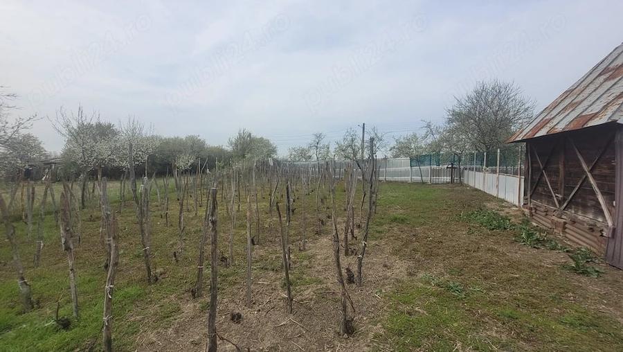 Casă cu 3 camere în Bulzești